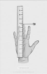 Image result for 5 Inch Hands
