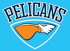 Image result for Pelicans Alternate Logo