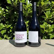 Image result for Woot Pinot Noir D'ONTSPILLE BLACK