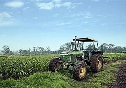 Image result for agroindustria