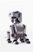 Image result for Entertainment and Gaming Robots