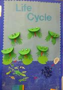 Image result for Frog Life Cycle Display