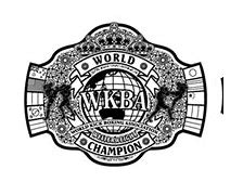Image result for Every WWE Championship Belt