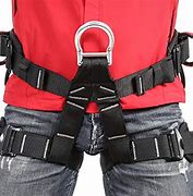 Image result for Climbing Safety Harness