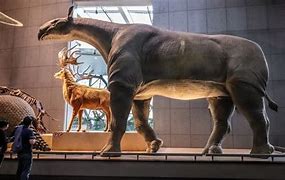 Image result for World's Biggest Animal Ever
