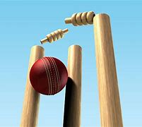 Image result for Photo of Cricket Bat Ball and Wicket