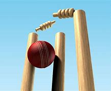 Image result for Ball Hits Stumps in Cricket Image