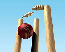 Image result for Cricket Bat and Ball and Stumps