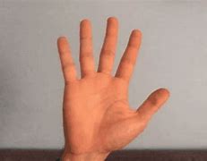 Image result for Waving Hand Animation