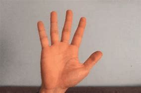 Image result for Picture of iPhone 12 in a Person Hand