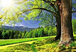 Image result for Beautiful Nature Scenes Summer