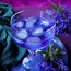 Image result for Gin Images