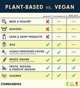 Image result for Difference Between Vegan and Plant Based Foods