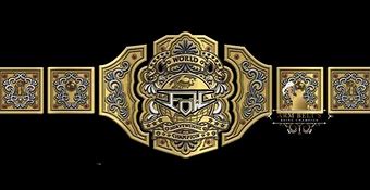 Image result for Wrestling Customized Belt