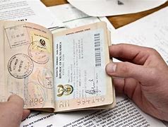 Image result for South Africa Visa Check