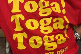 Image result for Animal House Toga