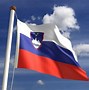 Image result for Flag of Slovenia