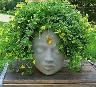 Image result for Rope Planters