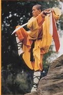 Image result for Northern Shaolin Martial Art