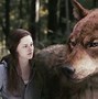 Image result for Twilight Werewolves