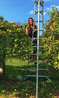 Image result for Apple Picking