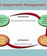 Image result for Global Assignment