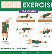Image result for Easy Exercises for Seniors