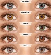 Image result for Big Eye Contact Lenses