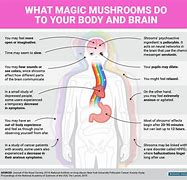 Image result for Effects of Magic Mushrooms