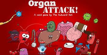 Image result for Awkward Yeti Organs