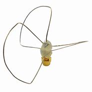 Image result for Circular Polarized Antenna