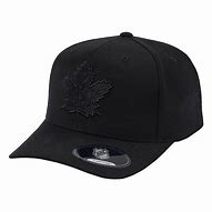 Image result for Toronto Maple Leafs Hat