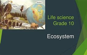 Image result for Life Science Grade 10