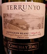 Image result for Concha y Toro Sauvignon Blanc Terrunyo