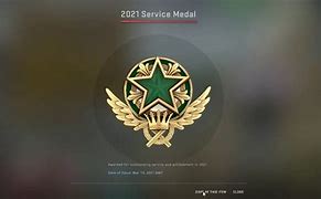 Image result for CS GO Service Medal