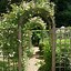 Image result for Plant Trellis