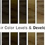 Image result for Hair Color Developer Chart