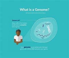 Image result for Genomics for Kids