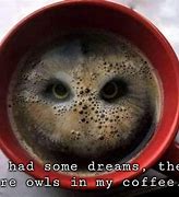 Image result for Coffee Funny Owl Memes