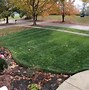 Image result for Liquid Iron for Lawns