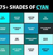 Image result for Cyan Color Palette Acrylic Volume