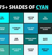 Image result for Cyan Color Sample