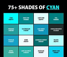 Image result for Cyan Products