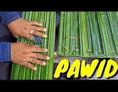 Image result for PVC Pawid