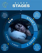 Image result for Sleep Biology