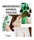 Image result for Measuring Activities for Preschoolers