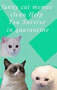 Image result for Caturday Morning Cat Memes