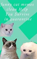 Image result for Thank You Cat Meme