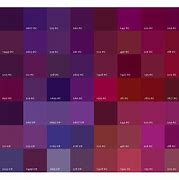Image result for iPhone 5 All Colors