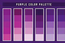 Image result for Aibo Colors